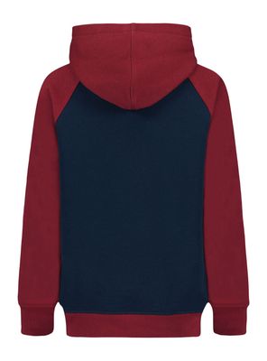 Imagen 2 del producto Polerón con Capucha Tommy Bicolor