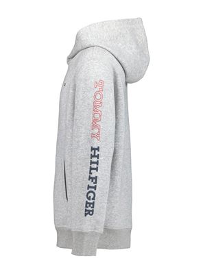 Imagen 2 del producto Polerón Capucha con Logo Manga Bicolor