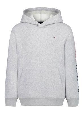 Imagen 1 del producto Polerón Capucha con Logo Manga Bicolor