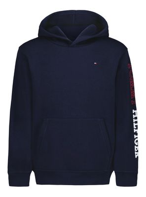 Imagen 1 del producto Polerón Capucha con Logo Bicolor en Manga