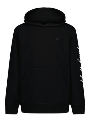 Imagen 1 del producto Polerón Capucha Logo Script en Manga