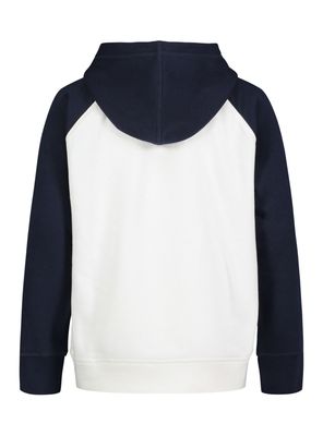 Imagen 2 del producto Polerón Block Color Diseño Logo