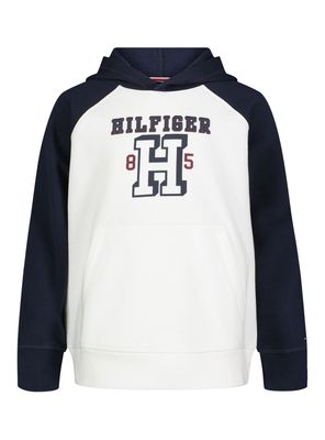 Imagen 1 del producto Polerón Block Color Diseño Logo