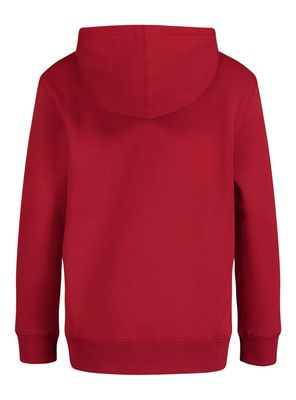 Imagen 2 del producto Polerón Capucha Detalle Logo Stripe en Manga