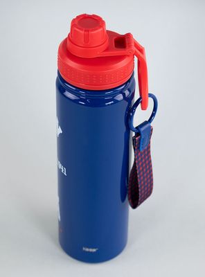 Imagen 2 del producto Botella para Agua Capitán Amárica Acero Inoxidable 750 ml