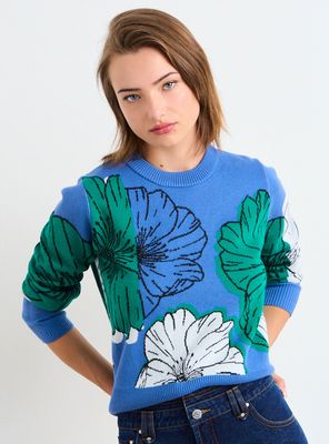 Imagen 1 del producto Sweater Fantasía Cuello Redondo