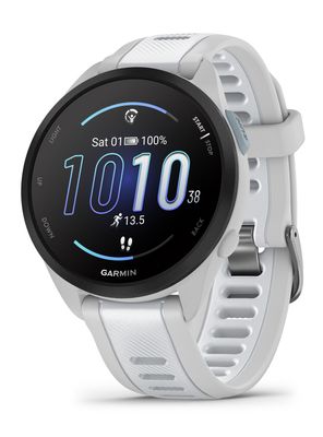 Garmin Smartwatch Forerunner 165 Music Mist Grey