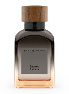 Imagen 1 del producto Perfume Ebano Salvia EDP Hombre 120 ml