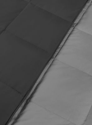 Imagen 2 del producto Plumón Pluma 2 Plazas Bicolor D1