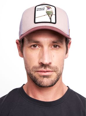 Imagen 2 del producto Jockey Picaflor Orgánico