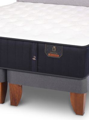 Imagen 2 del producto Cama Europeas King Premium Respaldo Ganges