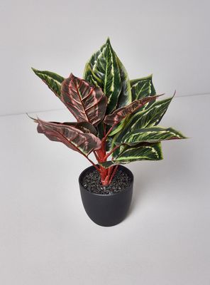 Imagen 2 del producto Planta Artificial Evergreen 35 cm