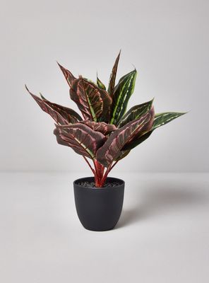 Imagen 1 del producto Planta Artificial Evergreen 35 cm
