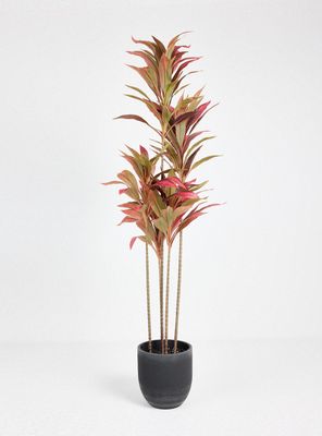 Planta Artificial Cordyline 179 cm