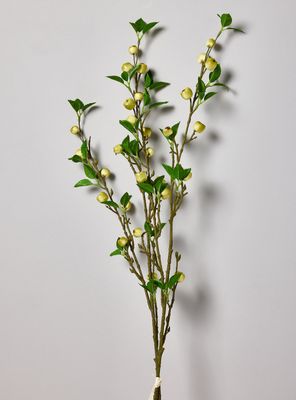 Imagen 2 del producto Ramas de Manzano 2 Piezas