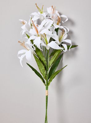 Imagen 2 del producto Lilium Blanco 2 Piezas