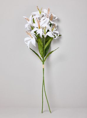 Lilium Blanco 2 Piezas