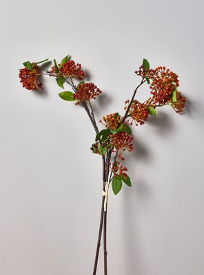 Imagen 2 del producto Ramas de Berry 2 Piezas