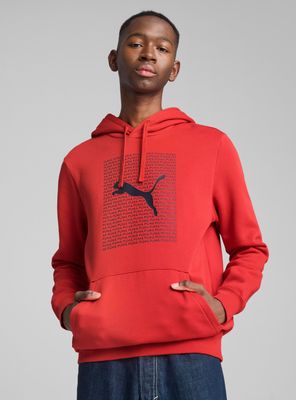 Polerón Ess Logo Lab Hoodie Fl