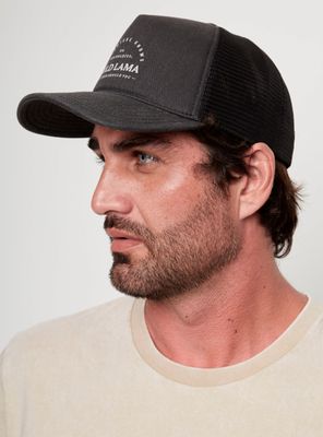 Imagen 2 del producto Jockey Petre Material Orgánico