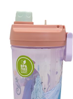 Imagen 2 del producto Botella Doble Licencias Diseño Surtidos 500 ml