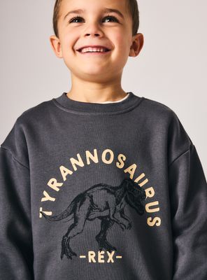 Imagen 2 del producto Polerón Básico Estampado