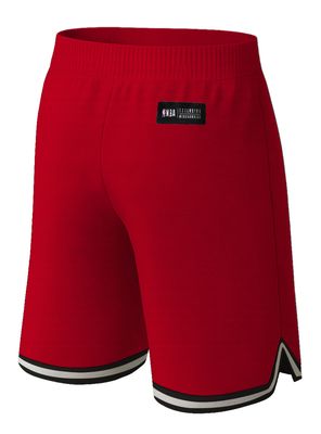 Imagen 2 del producto Short Estampado Chicago Bulls Regular Fit Niño