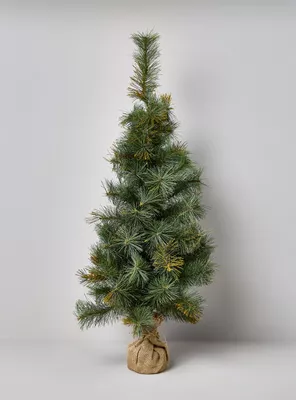 Pino de Mesa Forest Brillos