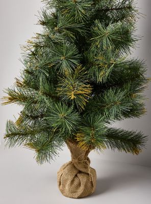 Imagen 2 del producto Pino de Mesa Forest Brillos