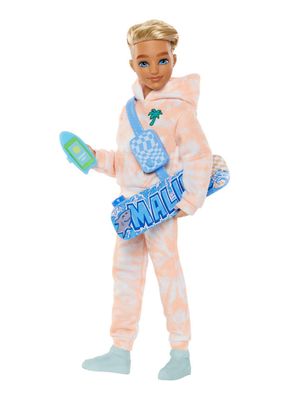 Muñeco Ken + Accesorios