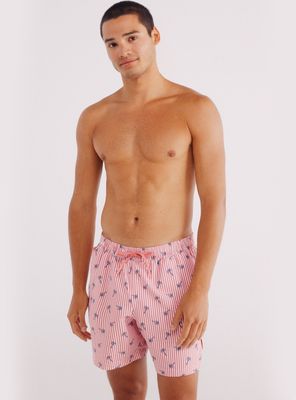 Traje Baño Rayas Palmeras