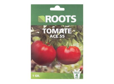 Semilla tomate ace 55 Roots