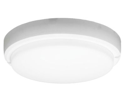 Foco tortuga LED luz Día 12W IP54 LB