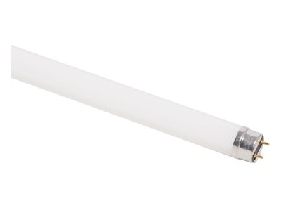 Imagen 2 del producto Tubo LED 8W T8 luz fría 60 cm Ecofit Philips