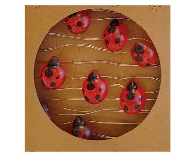 Imagen 2 del producto Guirnalda LED 20L chinita Ledzone