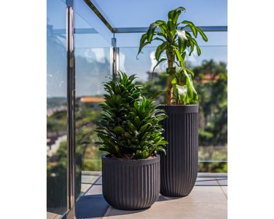 Imagen 2 del producto Macetero 44 cm negro Japi