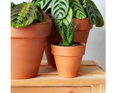 Imagen 2 del producto Maceta Kony 11 cm Terrarcilla