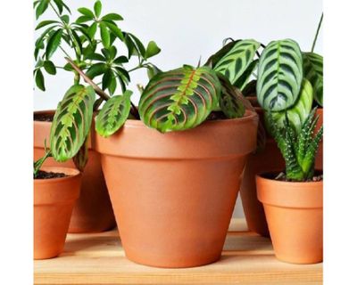 Imagen 2 del producto Maceta Kony 24 cm Terrarcilla