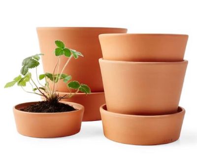 Imagen 2 del producto Maceta Zaia 15 cm terrarcilla