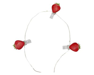 Imagen 2 del producto Guirnalda LED 10L luz cálida con clip