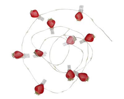 Guirnalda LED 10L luz cálida con clip