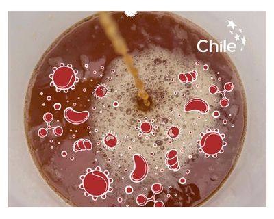 Imagen 2 del producto Fertilizante Tekashi 500 ml