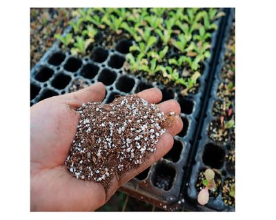 Imagen 2 del producto Sustrato Almácigos 10 lt