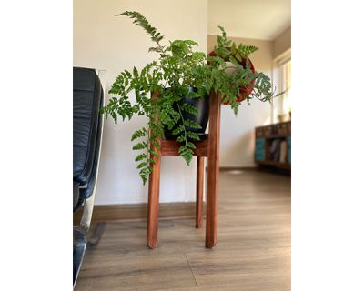 Imagen 2 del producto Macetero 24 cm Actual negro