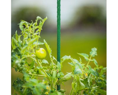 Imagen 2 del producto Tutor plantas 150 cm verde