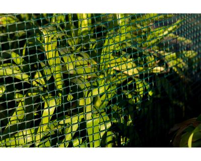 Imagen 2 del producto Malla jardinera 10x10mmx1x3 m Plástica verde