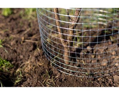 Imagen 2 del producto Malla electrosoldada gris 1/2"" 90x500 cm