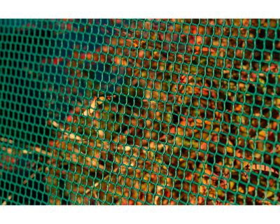 Imagen 2 del producto Malla jardinera 100x300 cm Plástica gris