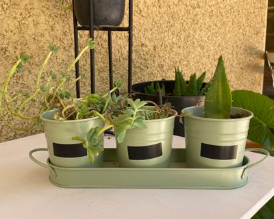 Imagen 2 del producto Set 3 maceteros pizarra + bandeja verde