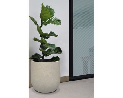 Imagen 2 del producto Maceta Rustic Cask 55 cm sandstone